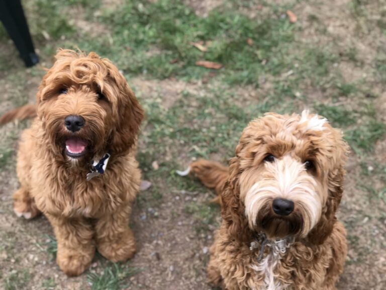 1347 d6a6607c3243f4707f8ab3a7aef01a1f 1 768x576