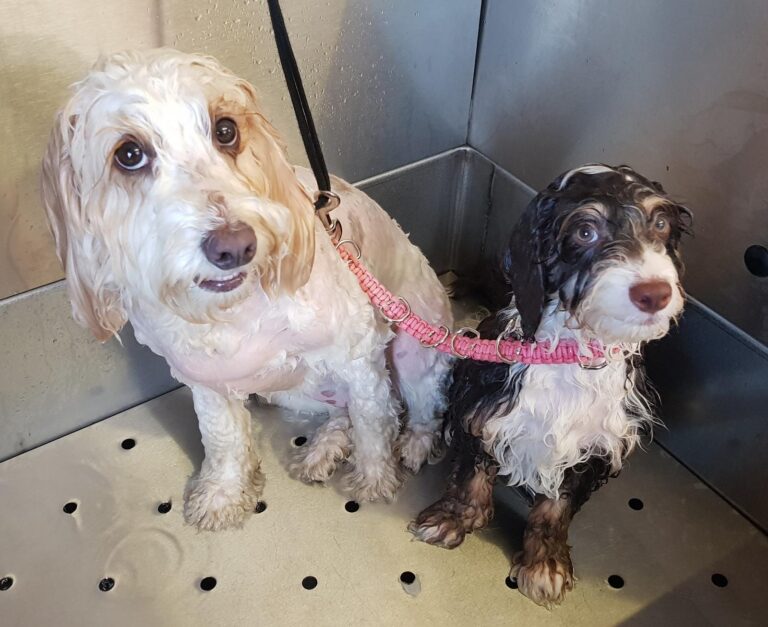 1347 e21b9672326c3946d015a3f3387c48a3 1 768x627