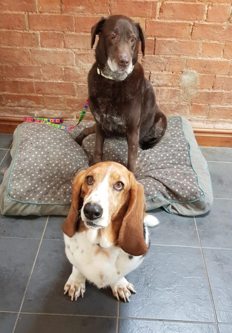 1347 e726104ffb53e7b4549b58da080da88f 1 768x1103