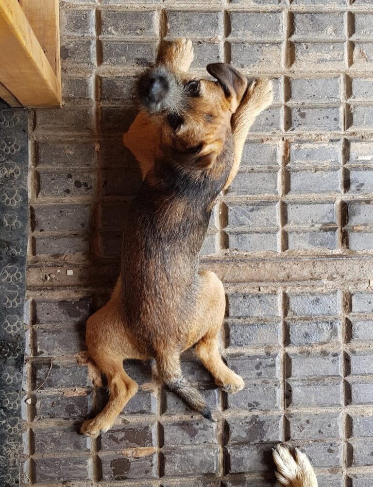 1347 eed2369f04f369cb73e9a8205082c170 1 768x1002