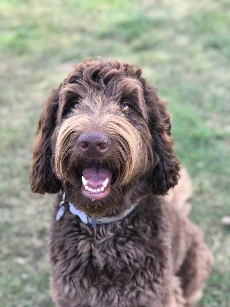 1347 ef310ff6b816bd750ccfa3cd88b271ab 1 768x1024