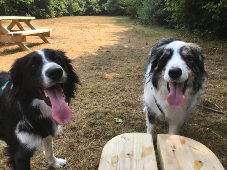 1351 12452545dd2f038f602d7c44909577aa 1 768x576