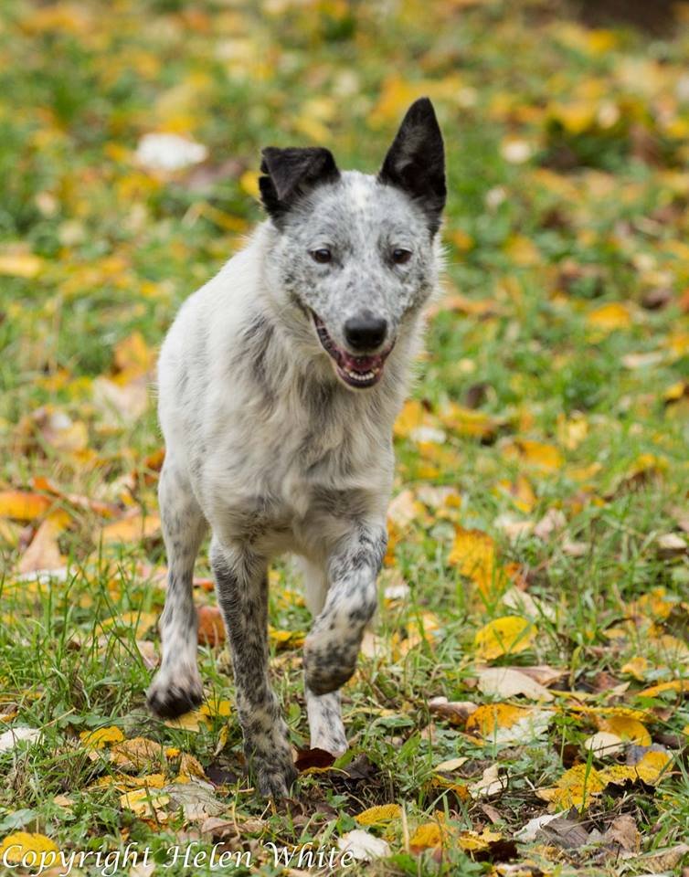 1351 297e2e3699928c3ae942fb9144465e02 1