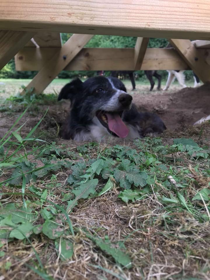 1351 2e38ea95597426fd3dd03732b143b249 1