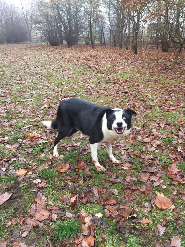 1351 422336e588c35b54d68a018911c8ed29 1