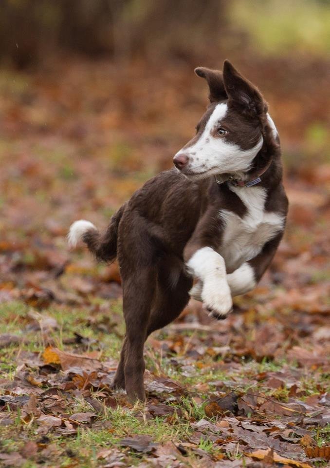 1351 7212ed2776fcb4f0e9ef32f12d4459ae 1