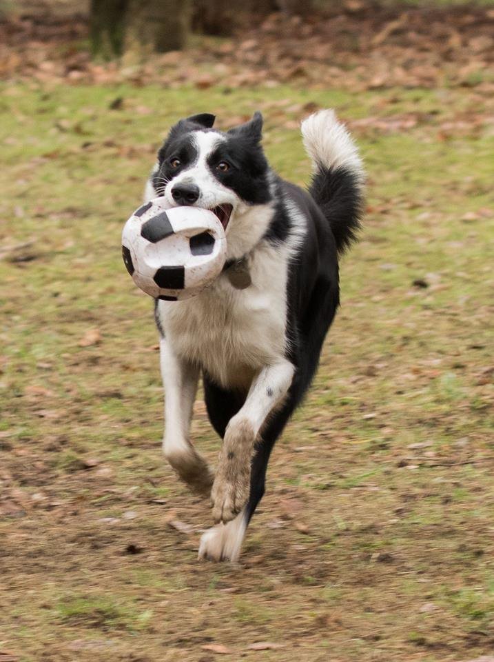 1351 8ff304c4006a61b55179566040e815d4 1