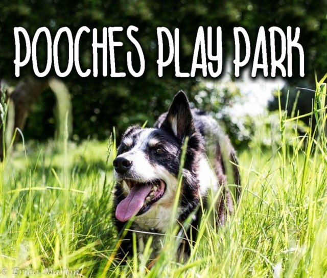 1351 ab145a373adc604e293675b2f6e32a42 1