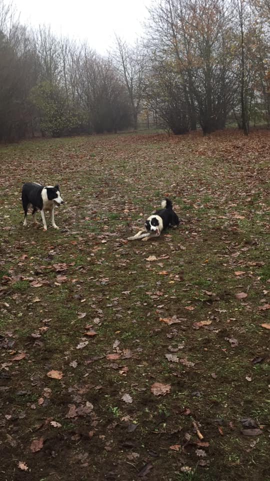 1351 c5b9a8711b460b7bcc250984487c761c 1