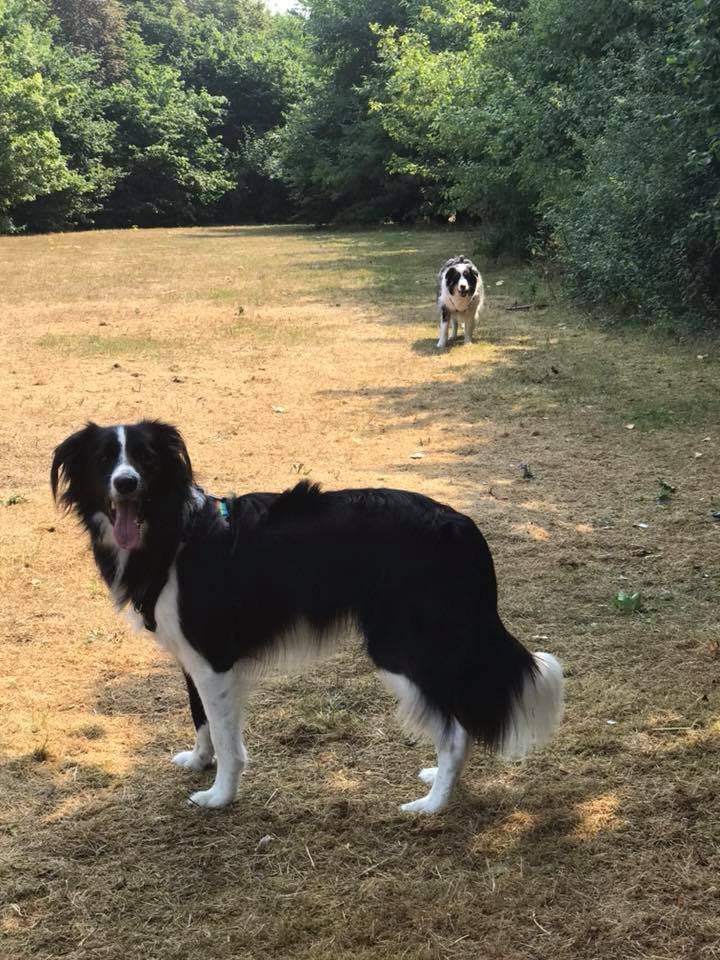 1351 cb1138ac57071821175c0e0d2911cbe3 1