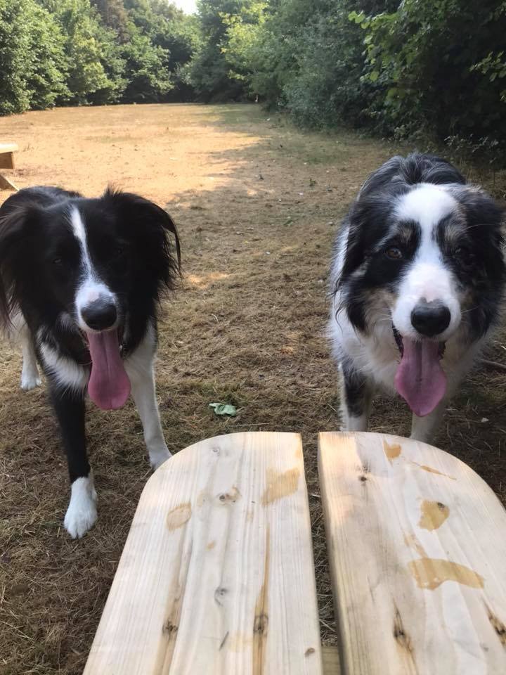 1351 e1b48b756efc6374880a9ca0c1270593 1