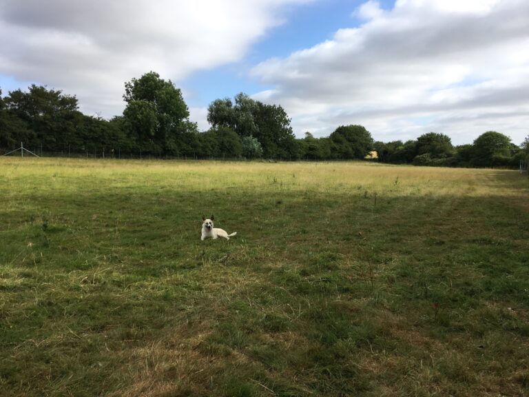 1357 460aa16dce4a87ace18df68a6b15d76d 1 768x576