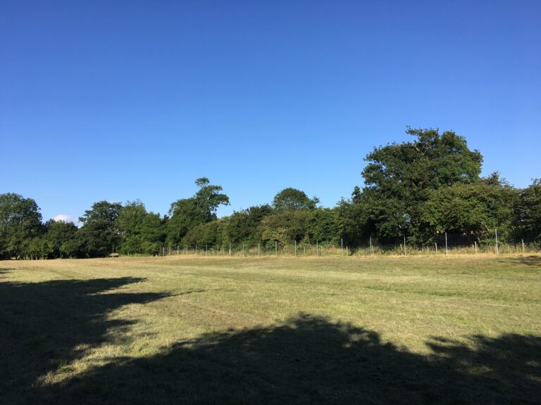 1357 a0bcd9008e60dbe6180025b924c4c434 1 768x576