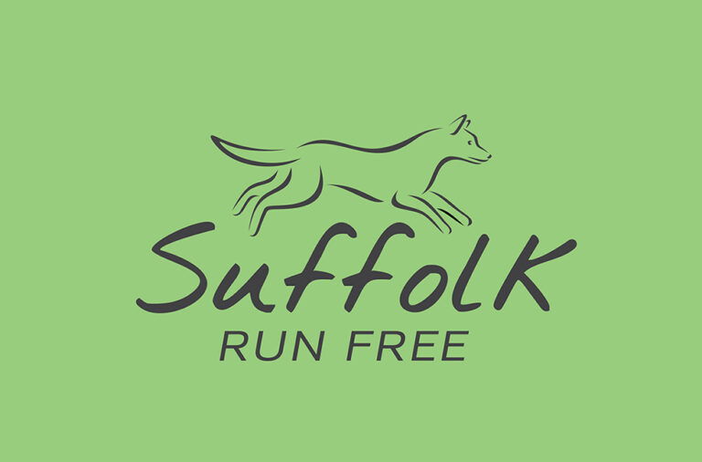 1357 de5ea3f90c9a436e7f8c65218cb33000 1 768x506