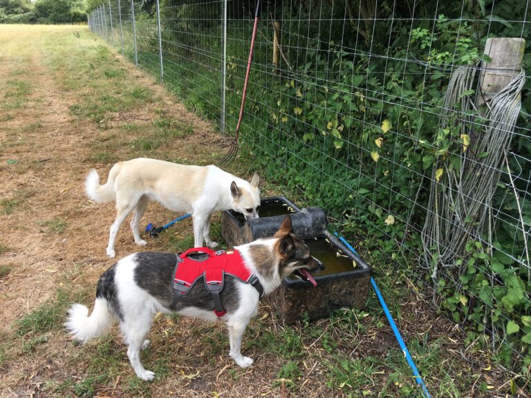 1357 ea7069abf3a25c5cb11b2cf80c917202 1 768x576