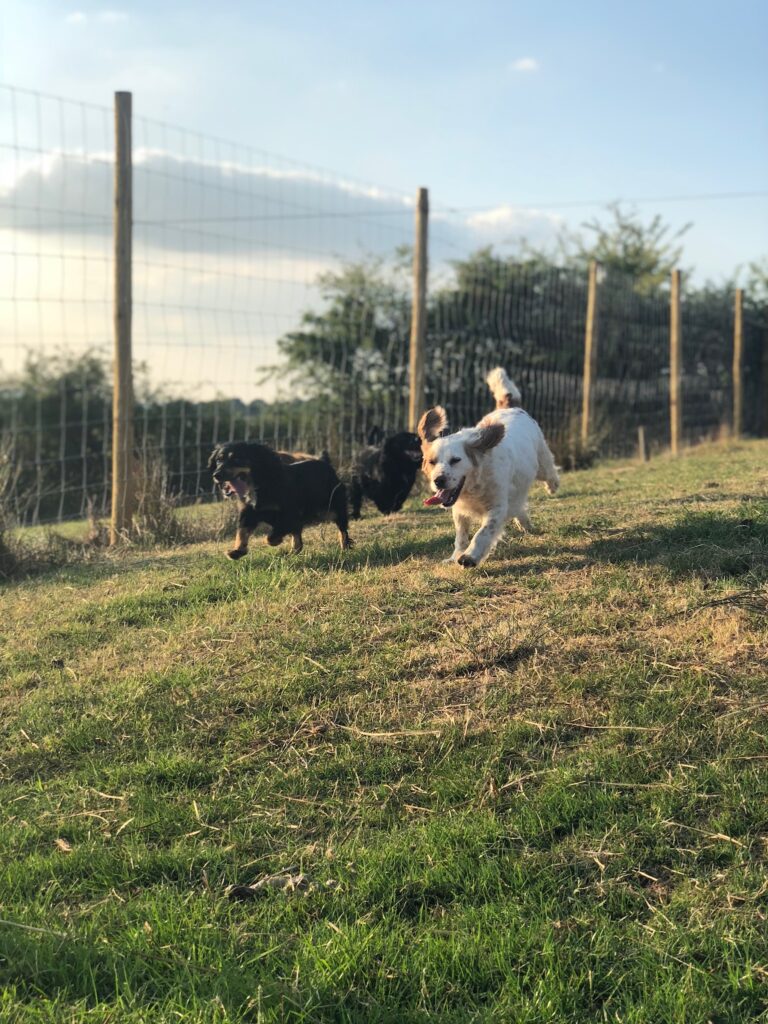 1362 2c45ee3b0556c1bd4484b05e9af2bd53 1 768x1024