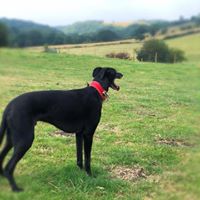 1362 31f70ac292a475a20761fbc78e6f75c0 1