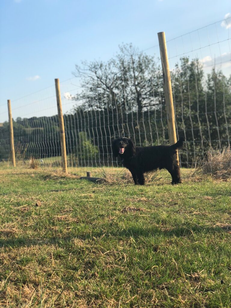 1362 4c204f7be6fa2a5b9e84353159e63d6f 1 768x1024