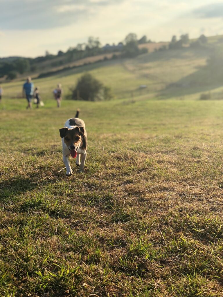 1362 7b0788d03fa6ba6ab9c2b1941a6b17a8 1 768x1024