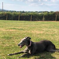 1362 aa6d08bb7a3b9bfd5c91b25757f36b00 1