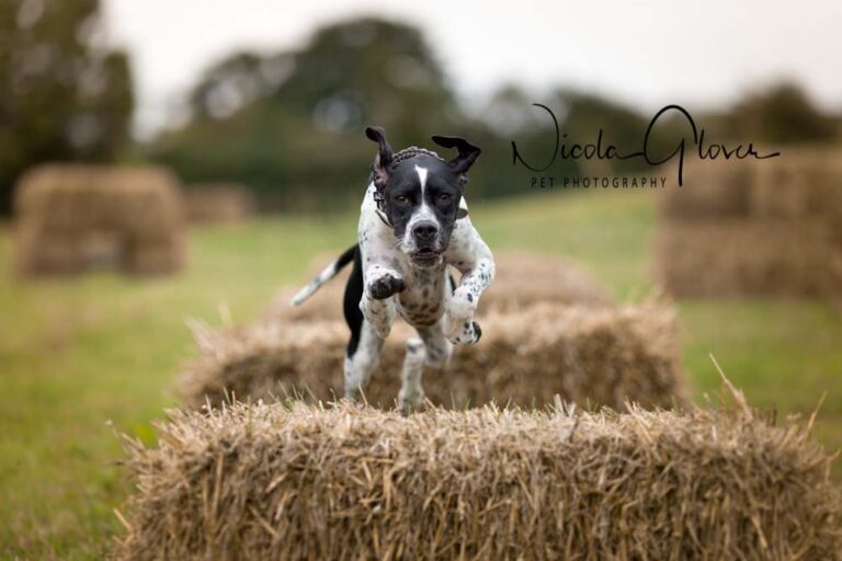 1364 0272dc546428056fb34fec153b72fd9f 1 768x512