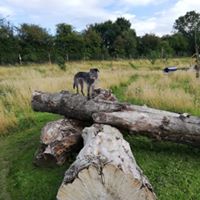 1364 049ce331ae0bfec951b49a64022e5acc 1