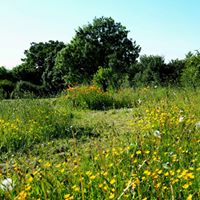 1364 0713fa2499bdfa2849e1adebee5a61ce 1