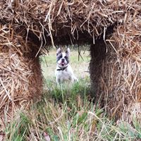 1364 16425ce85397d054eda13c2afad463bb 1