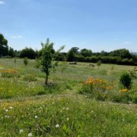 1364 1b8263693756027eca62f9ea5205cc20 1