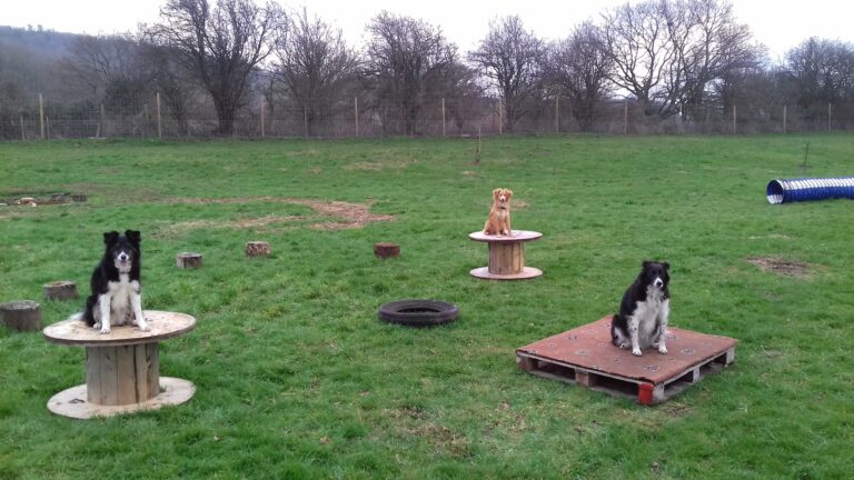 1364 2395618bed5c958755027f0929e61cca 1 768x432