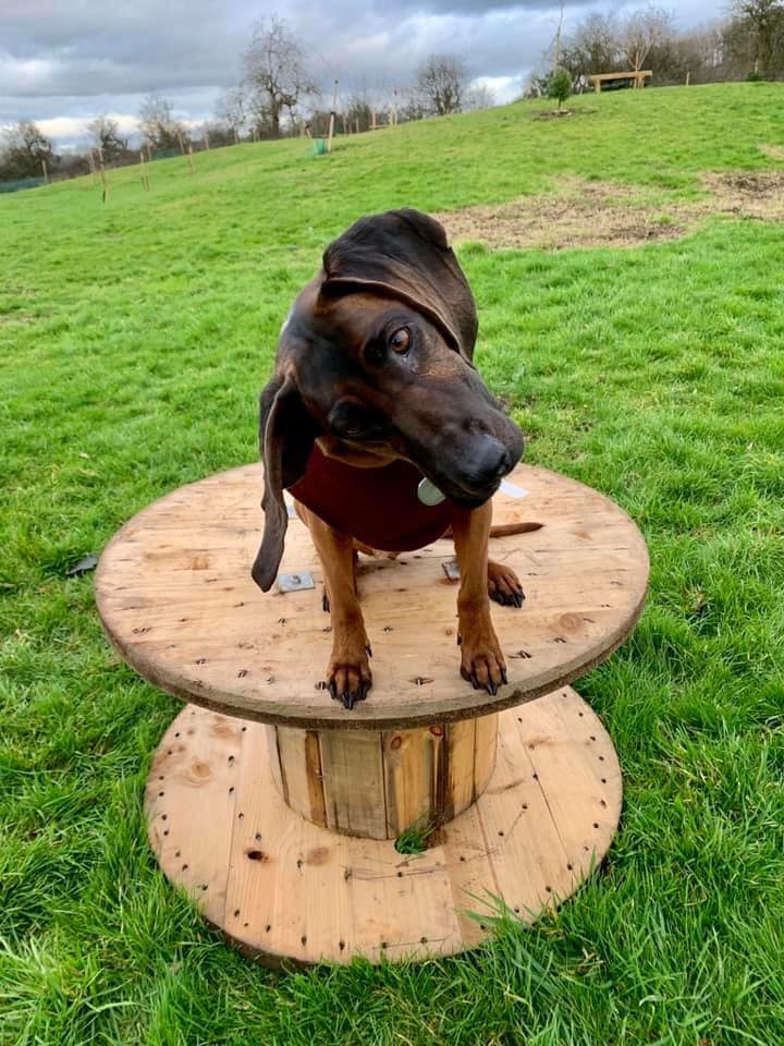 1364 2960d45050152c7500b0712ef5337606 1