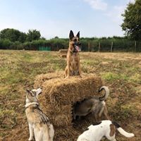 1364 2fb0a9d744b800c76bcba417eae415a9 1