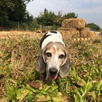 1364 3371a7e780a6eedafe8bca31e07d41f1 1