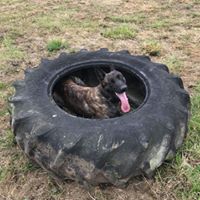 1364 34513dcea85dc86dcfbf32ccad005d94 1