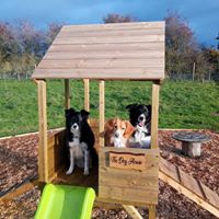 1364 44dddbd28c1470d4eb447497afa95181 1