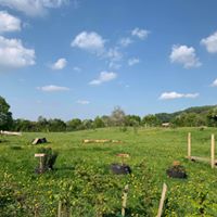 1364 471532b21eb38762e65956e79078a22e 1