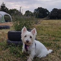 1364 4c870936123588f89378f28daf2f14c6 1