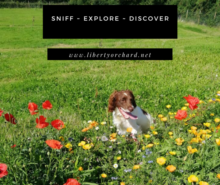 1364 52924724865573266cb94cac4d1d44e2 1 768x644