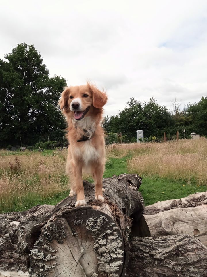 1364 533c7d9e7faf9e3970971ebd6ac6a97f 1