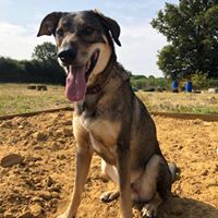 1364 5c13bf4cdd78d88dbbdf3210c32d2ace 1