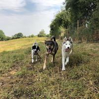 1364 5c8223f8eef8326151ade4cb7c361676 1