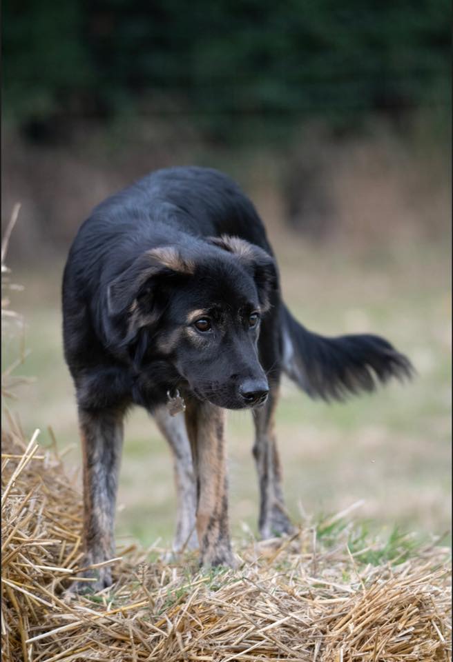 1364 6a9542cf0222d351d69ea9c34f1da8fa 1