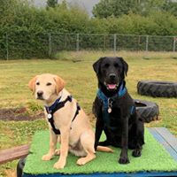 1364 6fee9d7e6fa9383414fc92b0c3f2a9fc 1