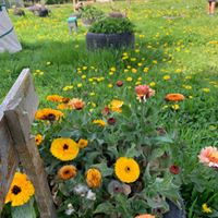 1364 708bfed2e395c49738e1c79230de3782 1