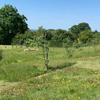 1364 7119adb12c89a2f67b6ab8b531a25cd5 1