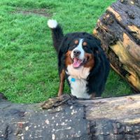 1364 9ee091d75eeb1192dc0e2f7c7edcff94 1