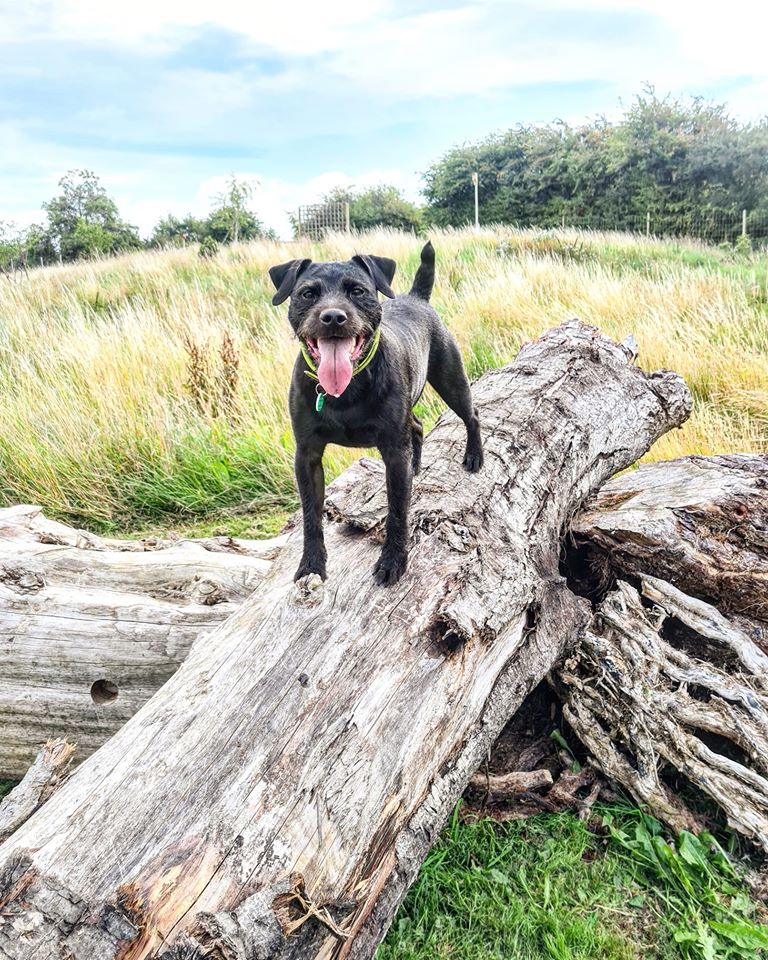 1364 a1469a027cc38ae0e6b587813c542770 1