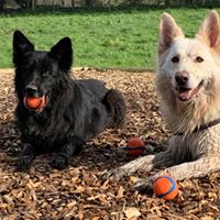 1364 a41dc053b2d2fc03b436df1d939bec57 1