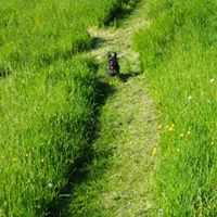 1364 ad4b550f14409b10ee26643578bb4fd8 1