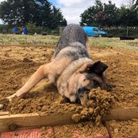 1364 b86c4f30d1c6f7735aee0a25cf75ba97 1